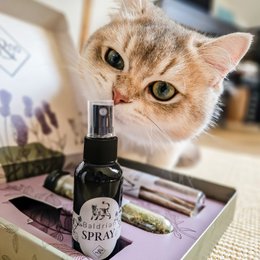 NE & NO® REFT GAT CATS Bell -Being Herbs: Catnint + Valerian Spray + Matatabi Sticks