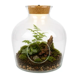 Glass Terrarium with Side Opening and LED Cork W-480 21 cm