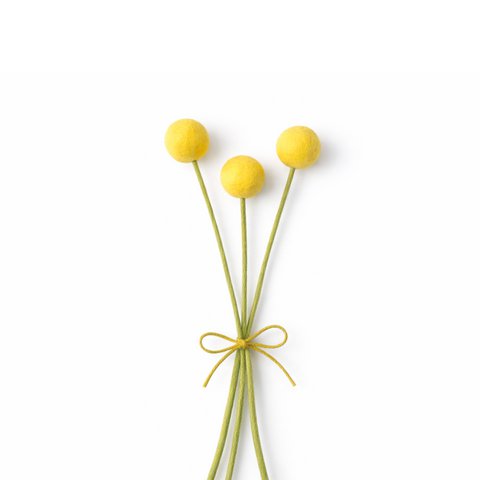 Craspedia XL yellow
