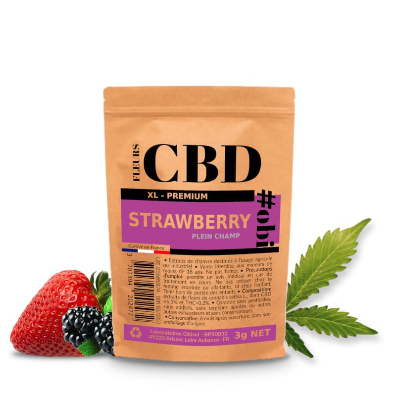 Kwiaty truskawki XL CBD