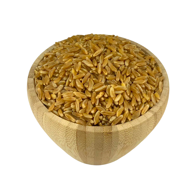 Organic Ancient Wheat in Bulk