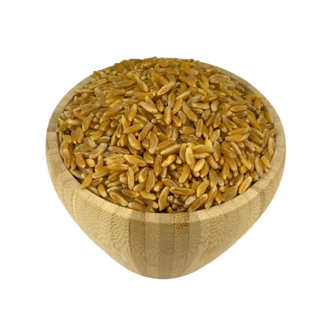 Biologische oude tarwe in bulk