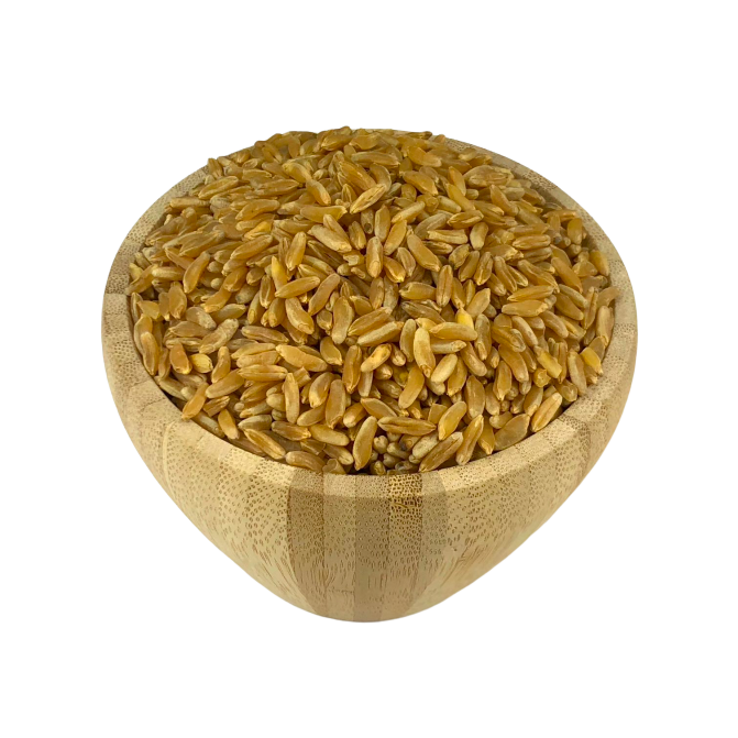 Organic Ancient Wheat in Bulk