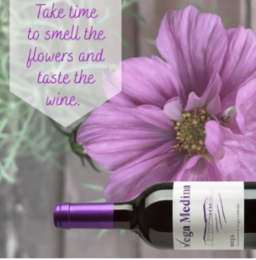 Ung rødvin D.O.Ca. Rioja Vega Medina