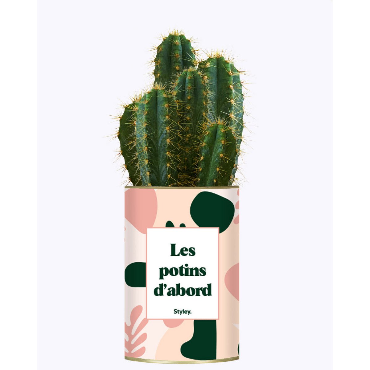 Les potins d'abord - cactus