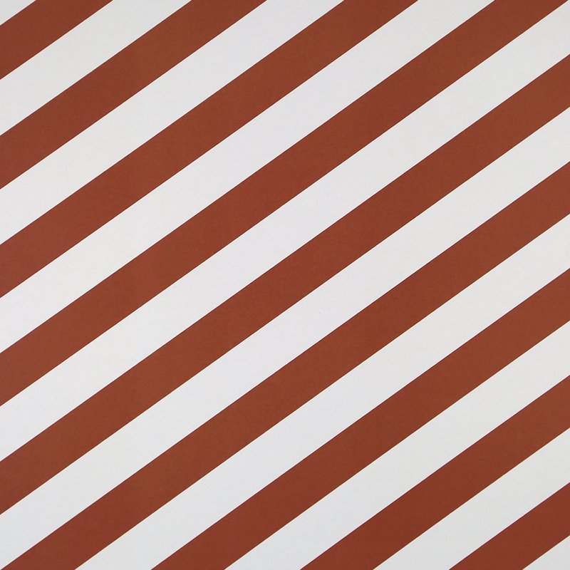 Bandes de papier d'emballage Cloe