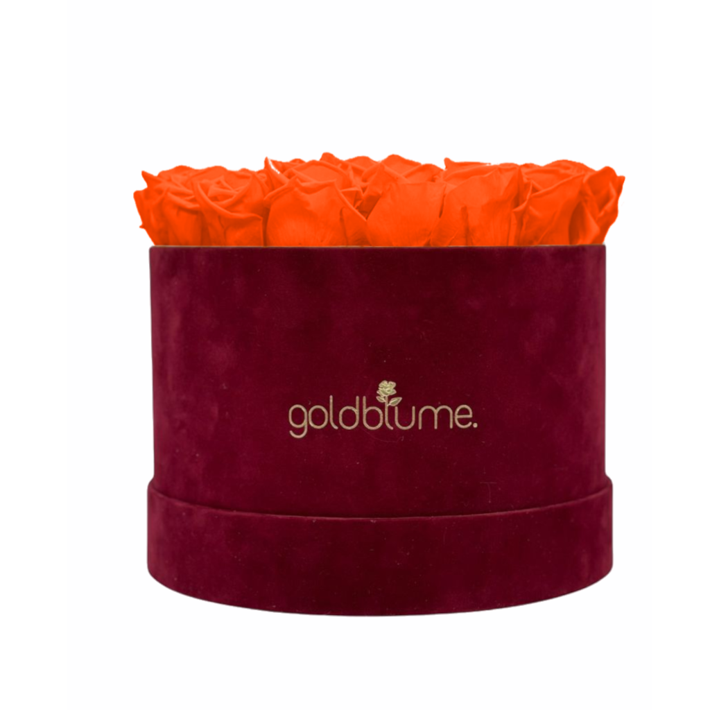 Collection Velours Bordeaux