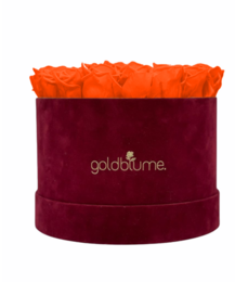 Velvet Bordeaux Collection