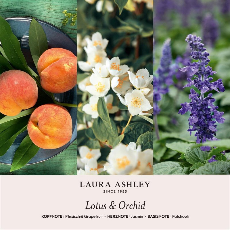 Świeca zapachowa Laura Ashley Lotus & Orchid w pudełku upominkowym - 200g