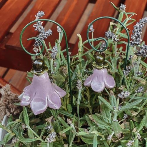 Campanula + bastone