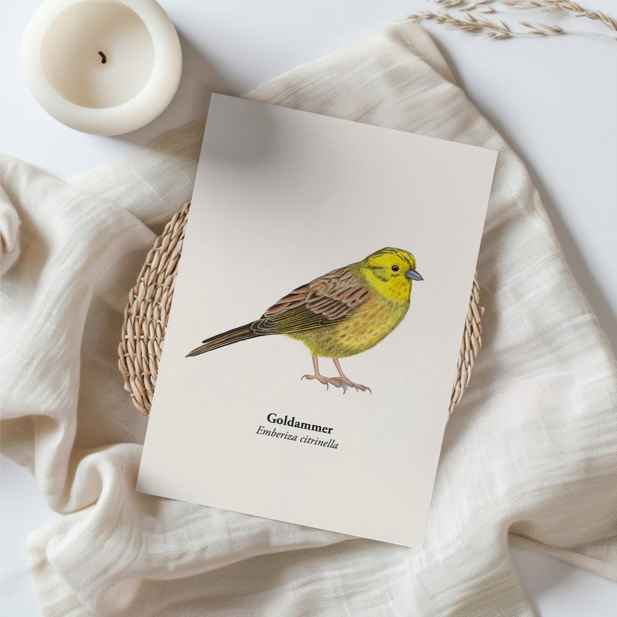 Postal de pájaros con dibujo de Goldenema, Miniprint A6 Nature