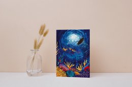 Postcard coral dive