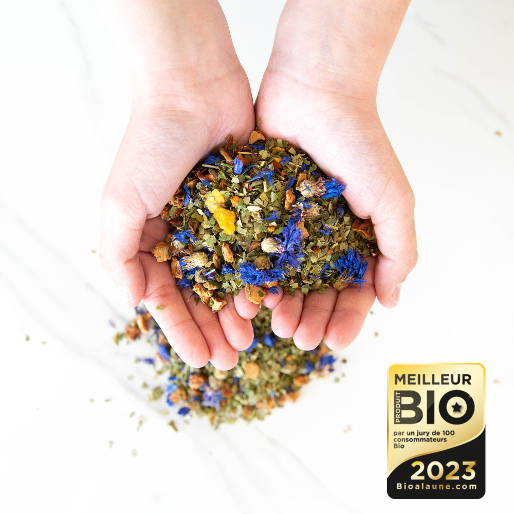 Maté Glacé Bio, pomme, pêche, bleuet - 1kg