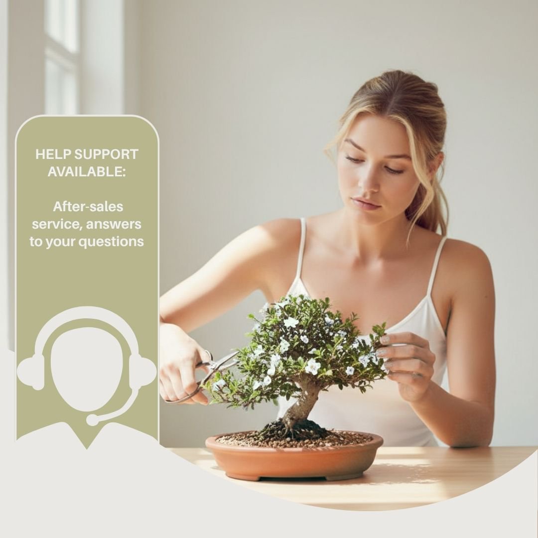 CULTIVEA® Kit of 10 Bonsai to Plant – Complete Box with Seeds, Pots, Tools & Instructions – Easy Indoor Planting Kit – Gardening Gift Idea | Made In France