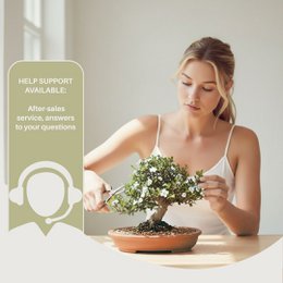 CULTIVEA®-sæt med 10 bonsai at plante – Komplet æske med frø, krukker, værktøj og instruktioner – Nemt indendørs plantesæt – Gaveidé til havearbejde | Fremstillet i Frankrig