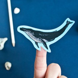 Sticker sheet underwater animals A5