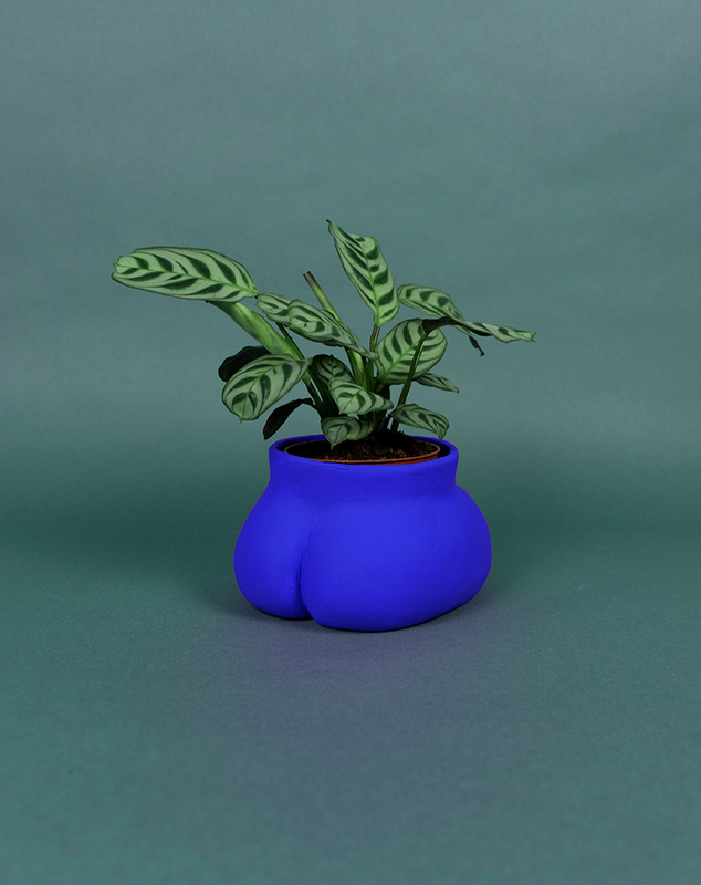CACHE POT - SMALL BUTTLE