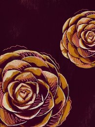 'Vibrant, detailed art print featuring a close-up of two large, golden-hued roses against a dark background. The roses have a striking, intricate petal structure and appear to be the focal point of the image.'