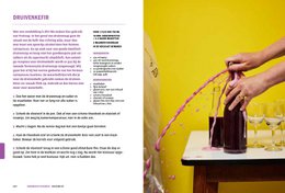 Simone van Thull - Fermentation and Fermentation Bible