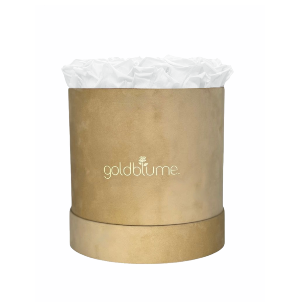 Colección Terciopelo Beige
