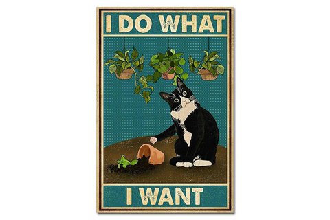 Metal sign Happy cat 2 20x30 cm Isabelle Rose