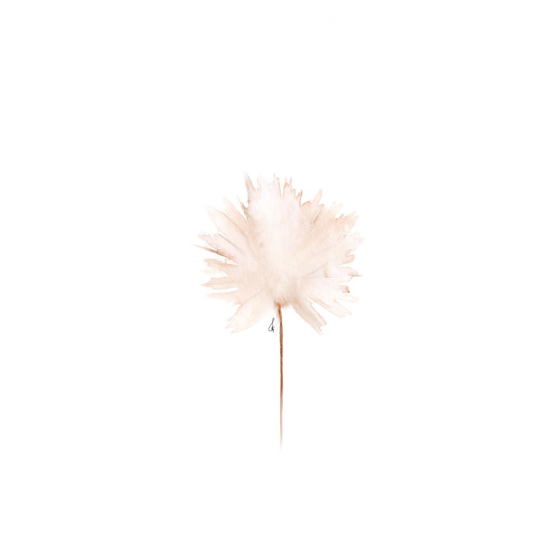 Wildflower Blush