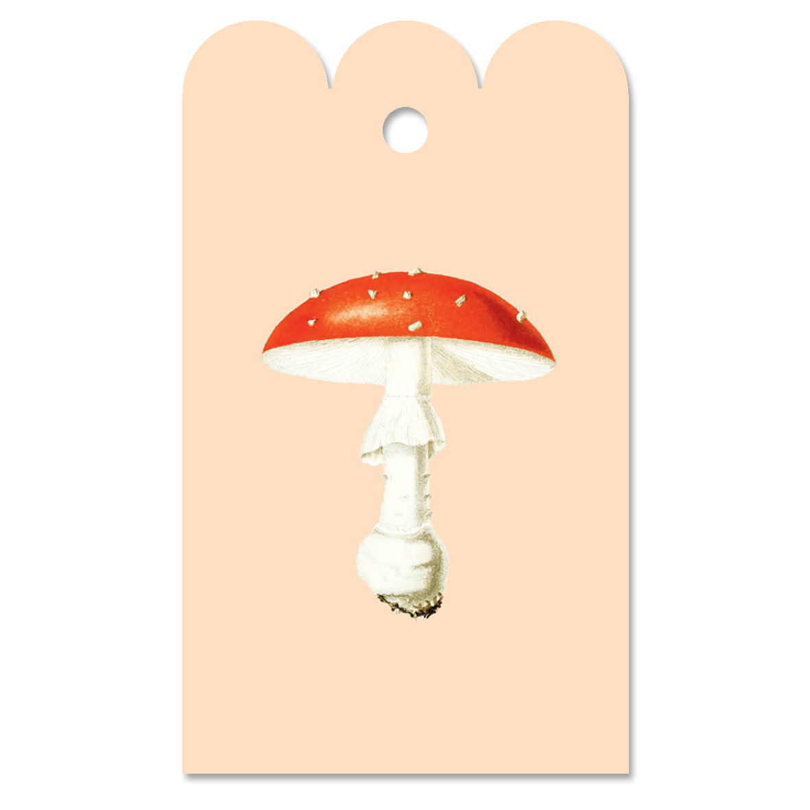 Gift Tag Fliegenpilz