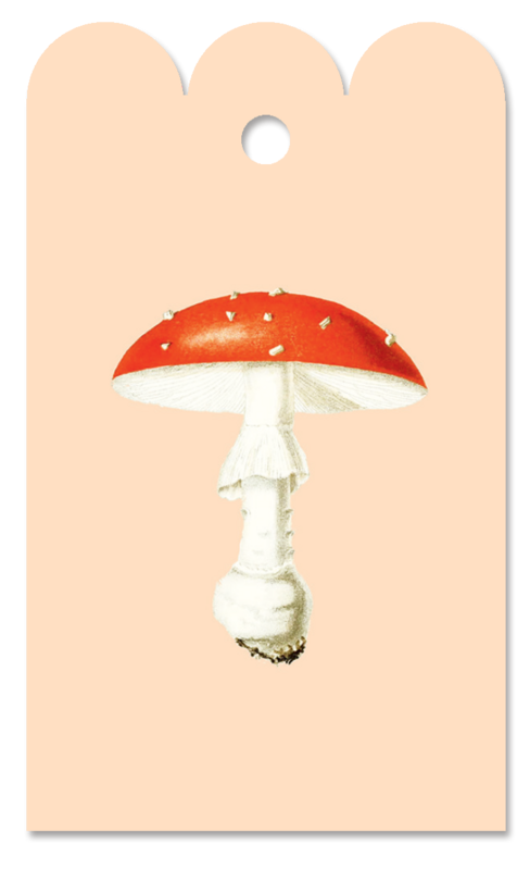 Gift Tag Fliegenpilz