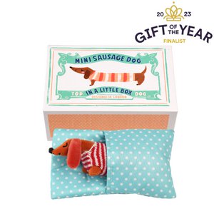 Mini sausage dog in a little box