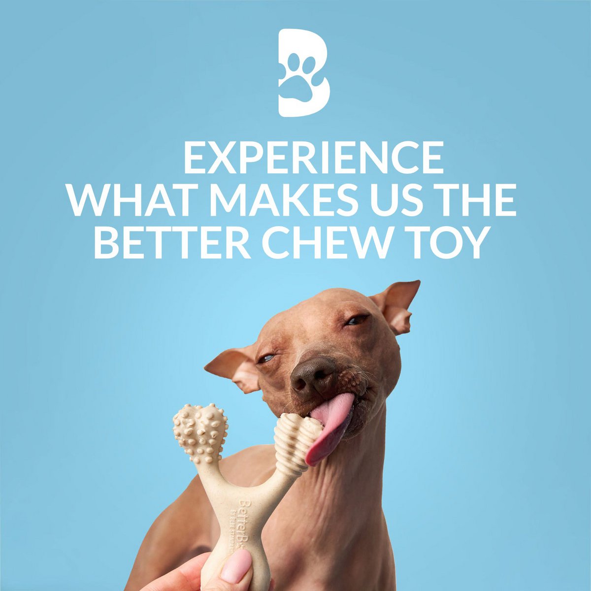 Betterbone Dogs Chewing Bones - Mini Soft Classic (zonder nylon, CO2 neutraal gemaakt in Europa)