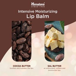 Balsamo per labbra idratante intensivo al burro di cacao dell'Himalaya - 4,5 g