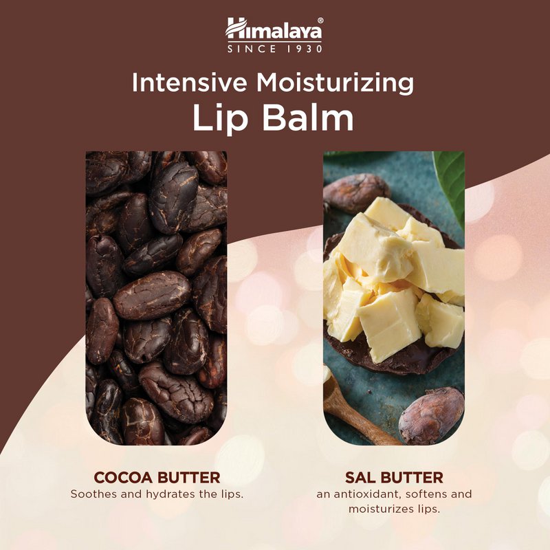 Balsamo per labbra idratante intensivo al burro di cacao dell'Himalaya - 4,5 g