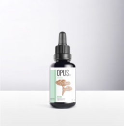 REISHI Opus-Pilze