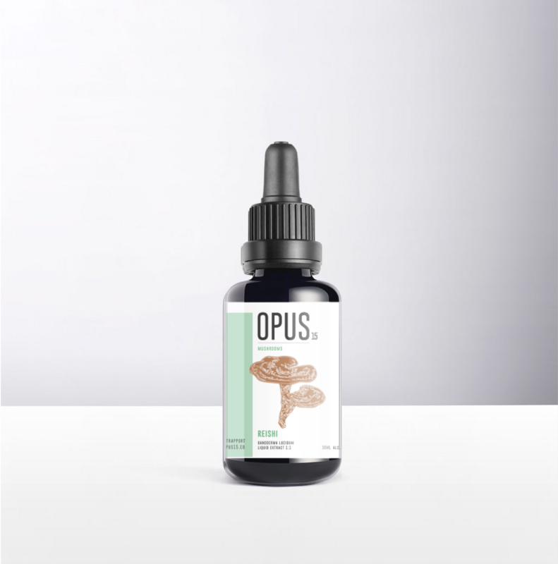 REISHI Opus-Pilze