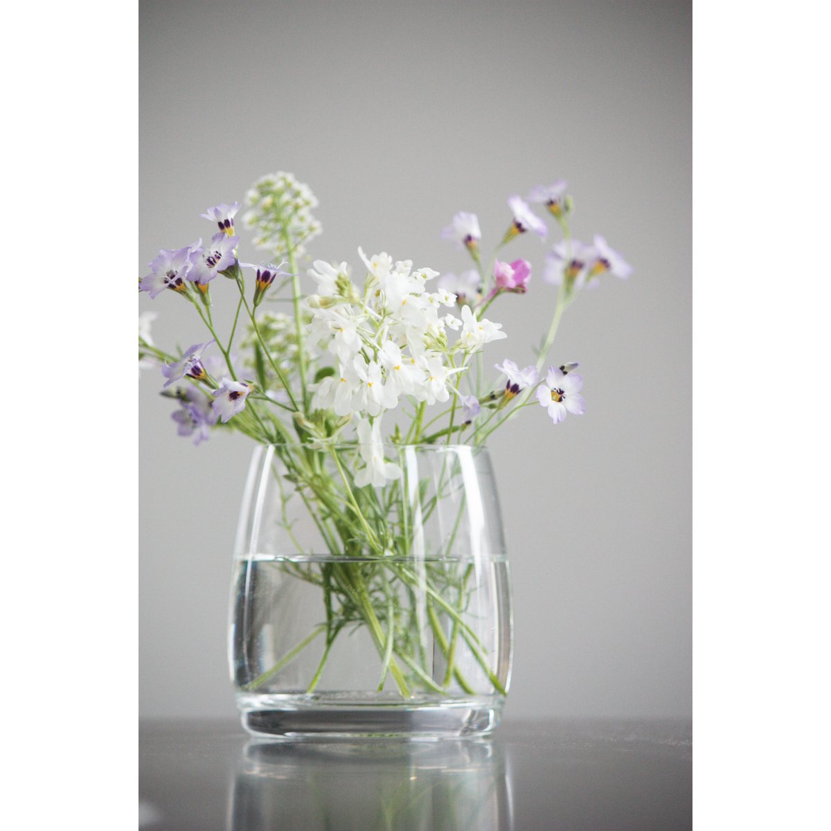 Send and Grow postcard - I'd rather wear flowers