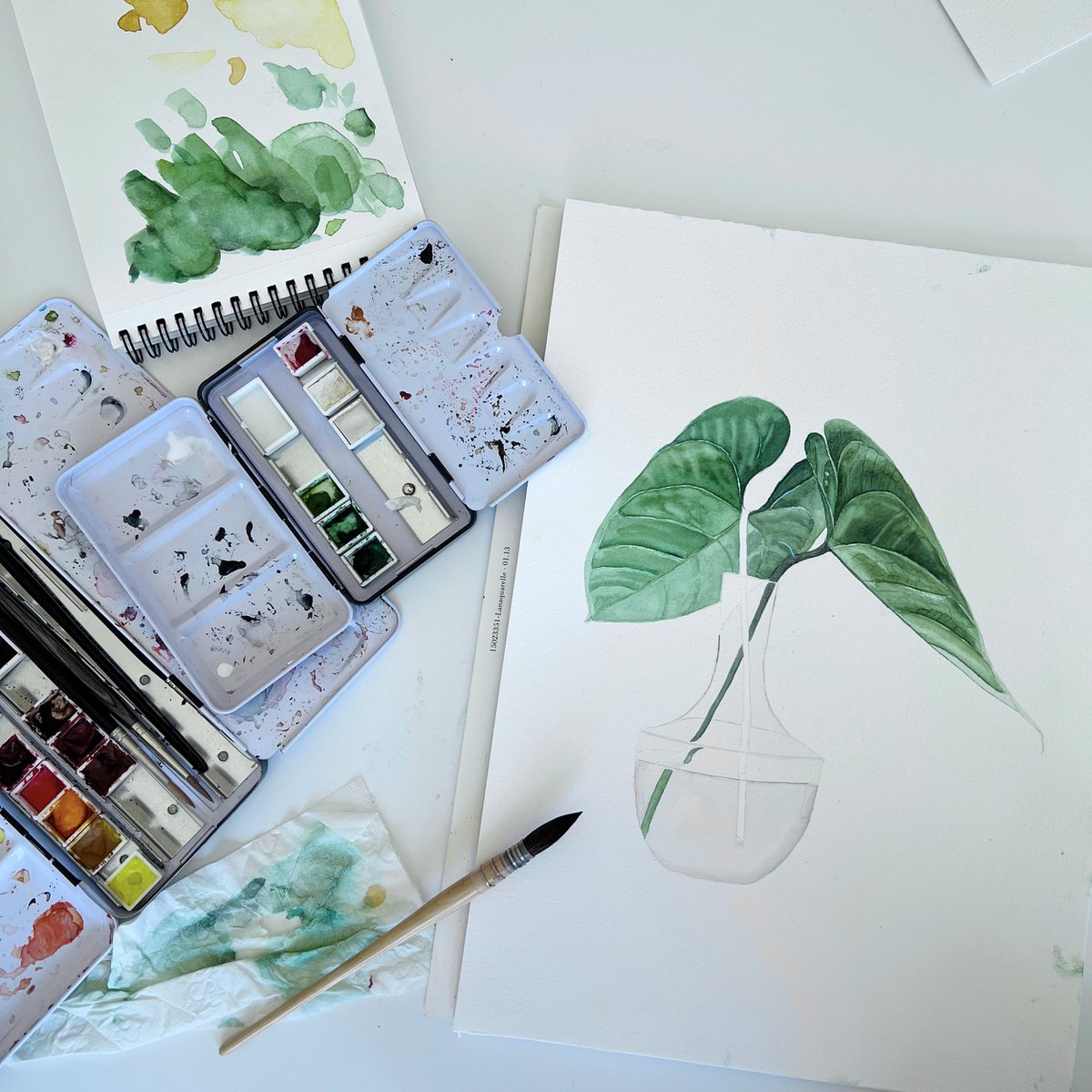 Fine Art Print - 2er Set Pflanzen