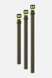 Dog collar C01