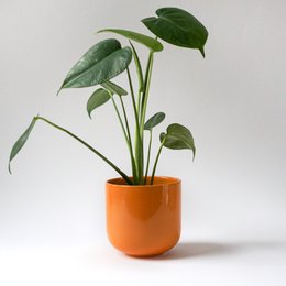 Large mug Mox Hollyhock - deep orange - 500ml - without lid