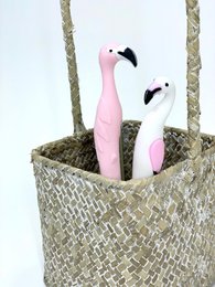 Discovery pack - Lifestyle