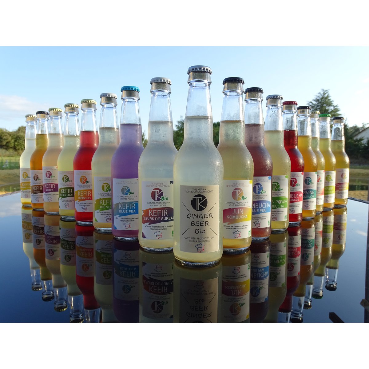 Kombucha Blue Pea Bio 330ml