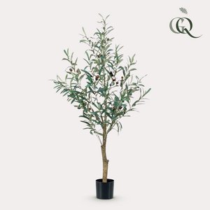 Art Olive Tree - Olea Europaea - Olive tree - 115 cm