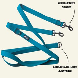 Waterproof multi-position leash Peacock blue
