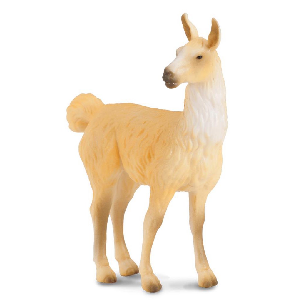 Lama - (M)