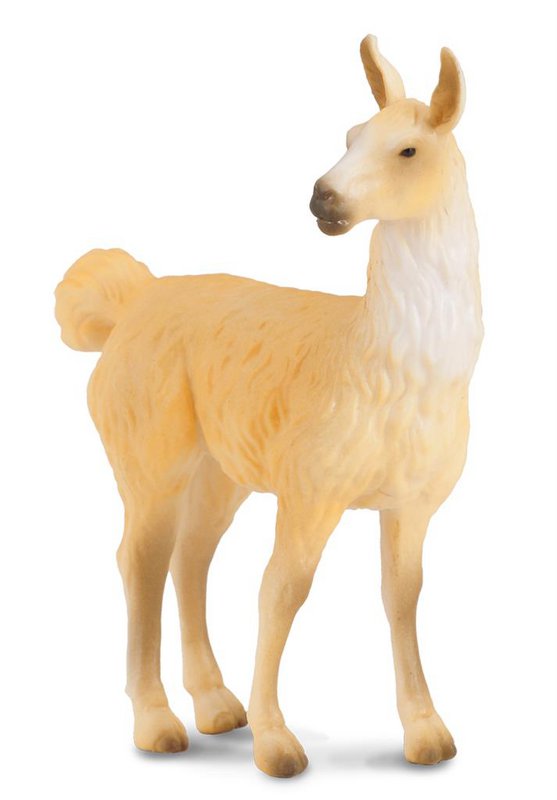 Lama - (M)