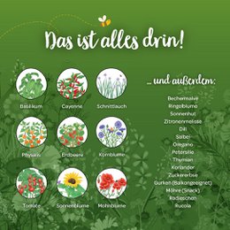 Saatgut-Adventskalender mit Türchen
