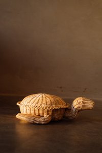 Tony the Turtle ©