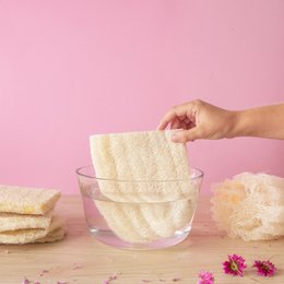 Raw Loofah | Durable sponge