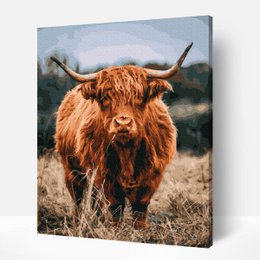 Highlander escocés