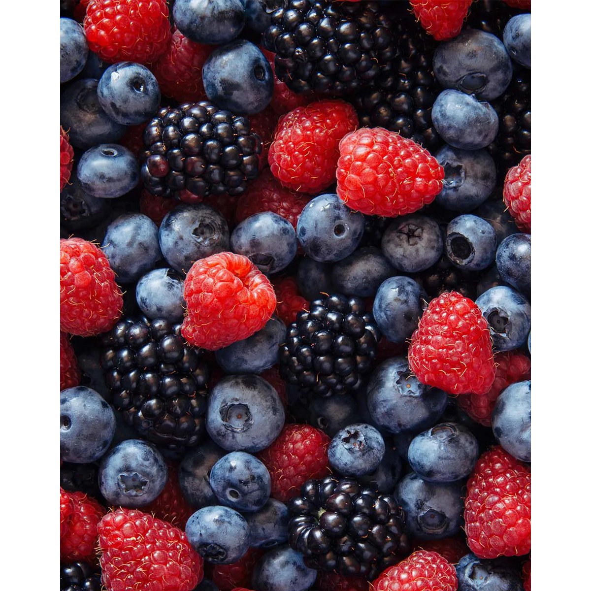 BITTER WILD BERRY • For water with flavor