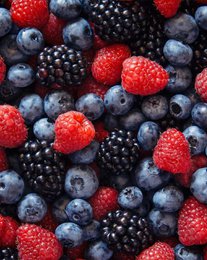 BITTER WILD BERRY • For water with flavor